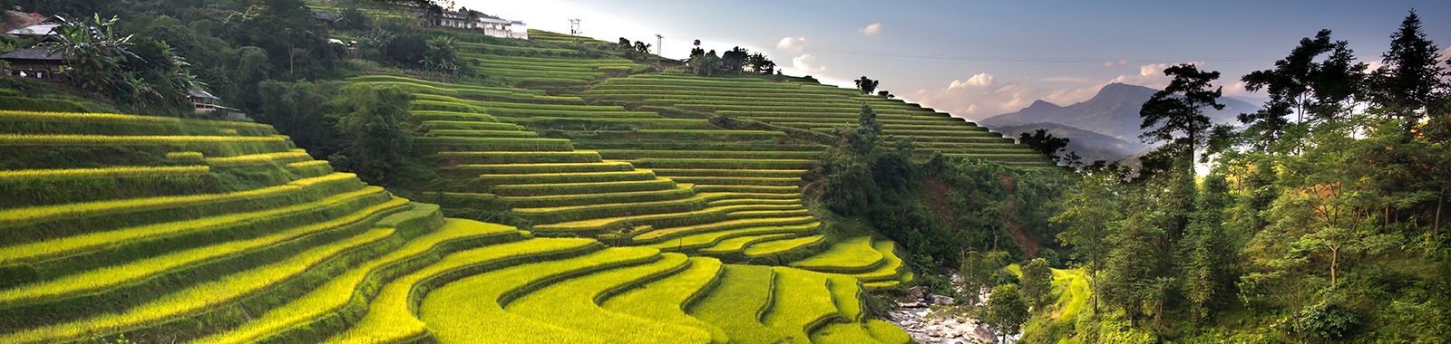 Khám Phá Việt Nam Tươi Đẹp