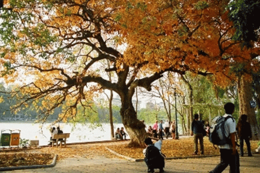 5 Địa Điểm Vui Chơi Cuối Tuần Ở Hà Nội 5 Địa Điểm Vui Chơi Cuối Tuần Ở Hà Nội