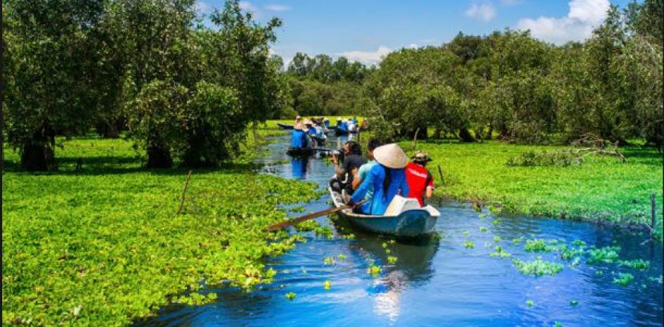 Đánh thức nàng công chúa ngủ vùi bên bờ Vàm Cỏ Đông